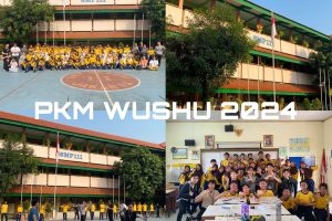 wushu